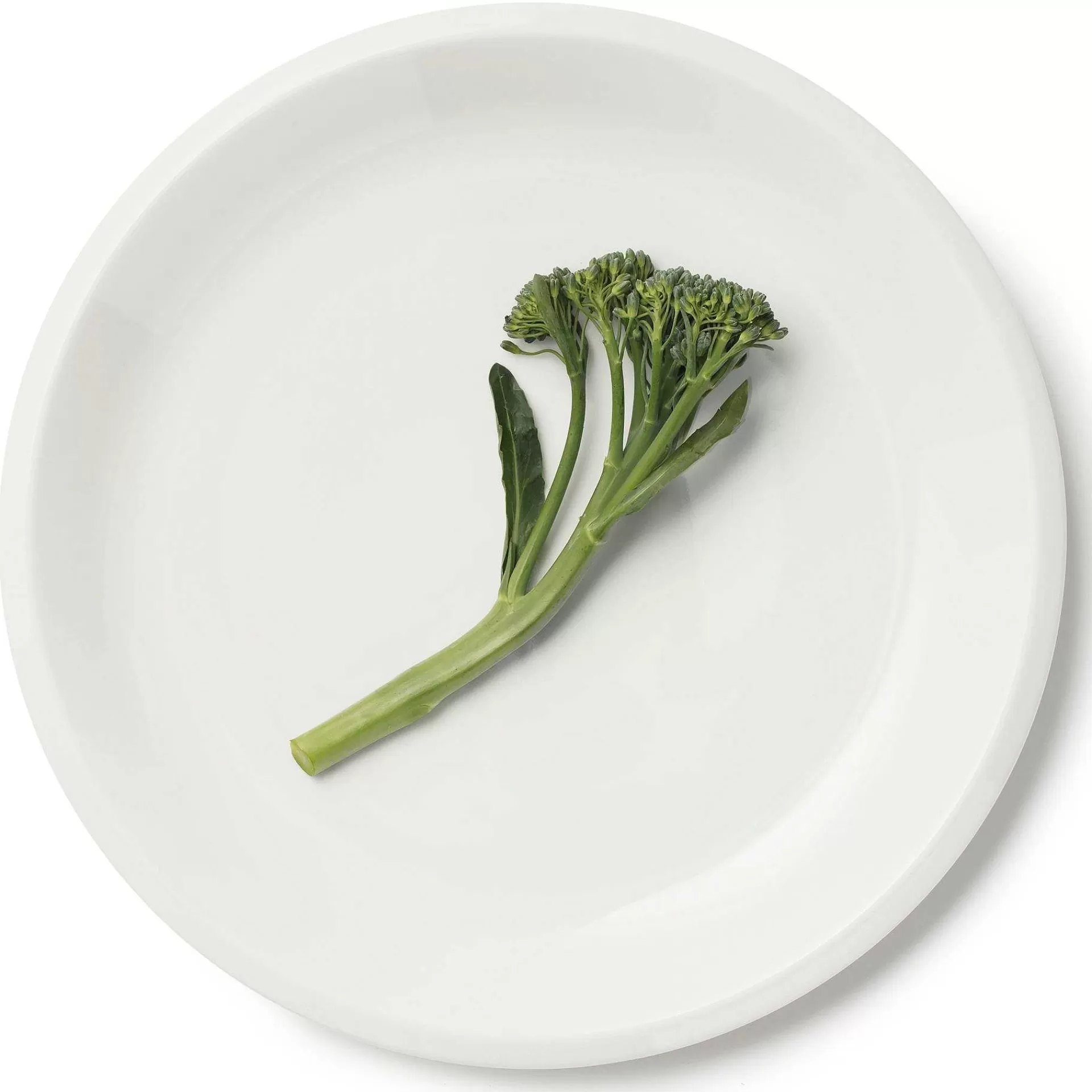 Iittala Middagstallerkener*Raami Tallerken 27 Cm